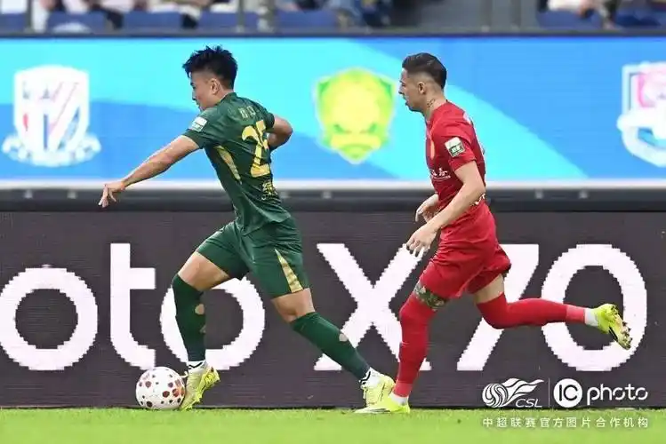 雨燕直播免费看